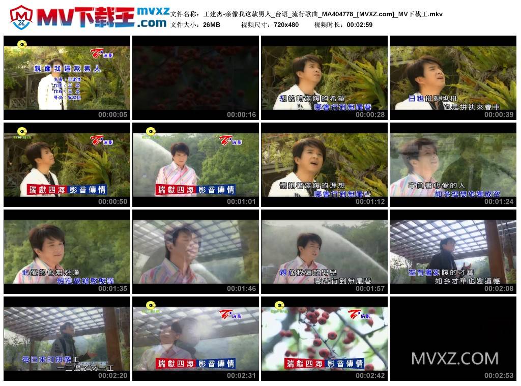 王建杰-亲像我这款男人_台语_流行歌曲_MA404778